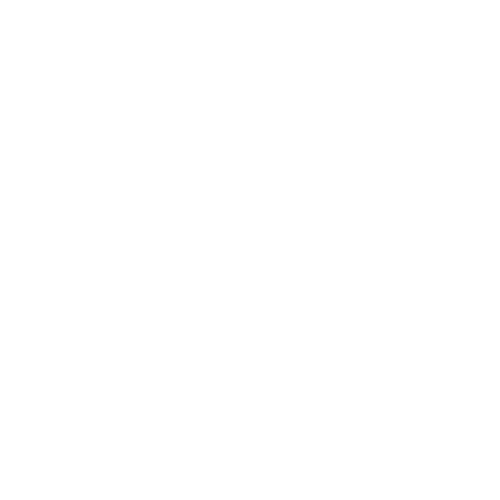 The Bald Cat